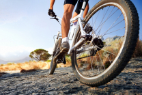 Fotolia_51514730_XS_3.jpg